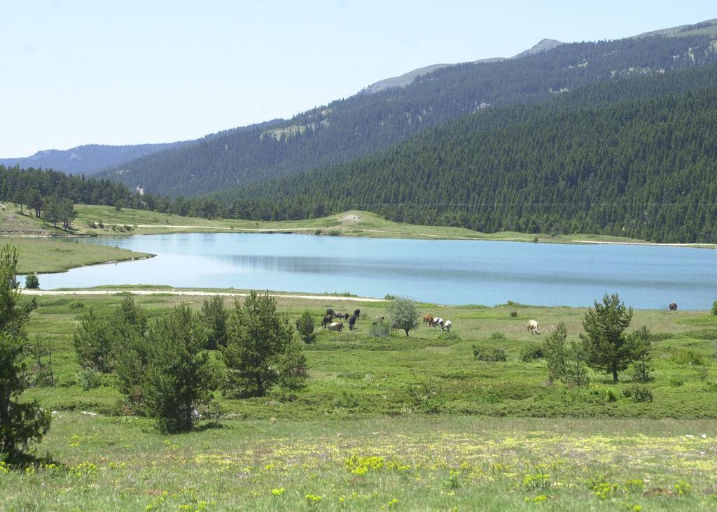 Jura Hotels Ilgaz Mountain Resort Exterior photo