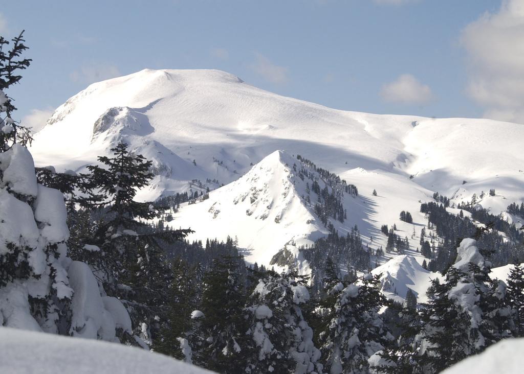 Jura Hotels Ilgaz Mountain Resort Exterior photo